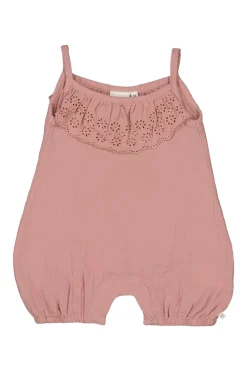 Baby boxpak rose