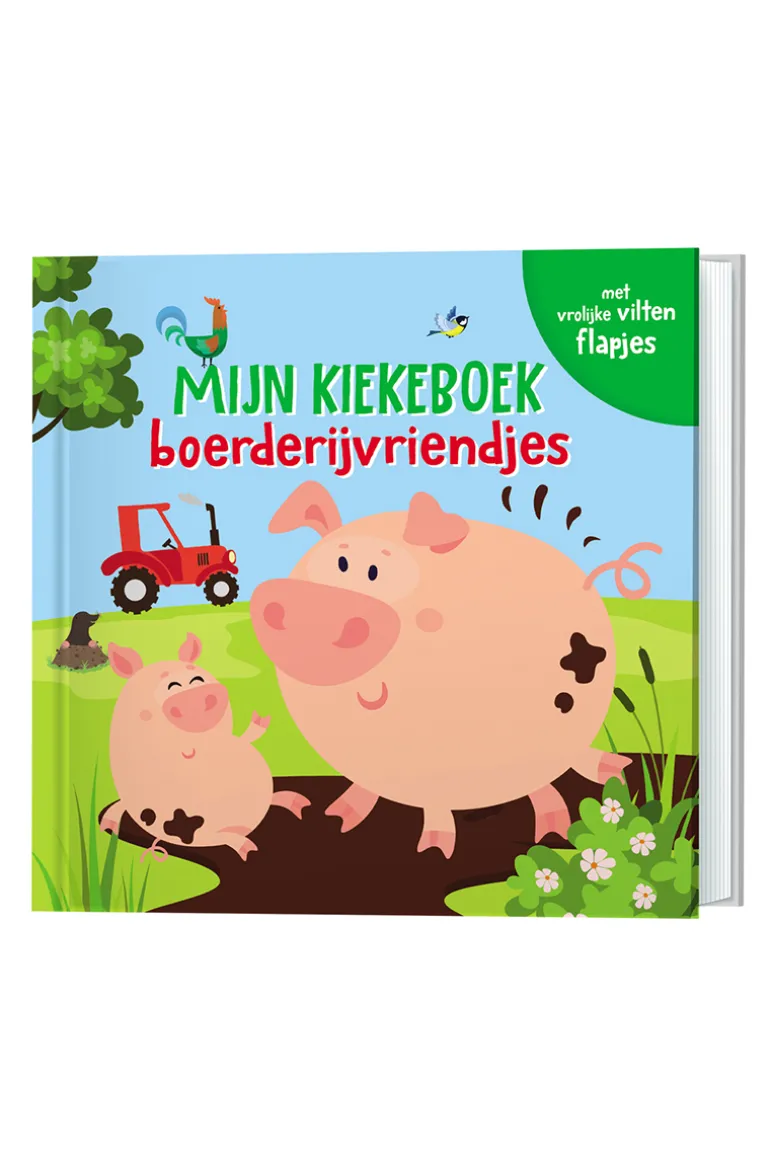 Boeken diversen