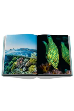 Boeken diversen