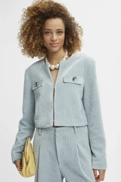 Dames blazer blauw