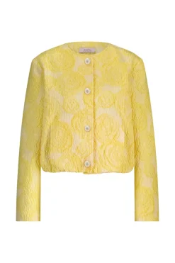 Dames blazer geel