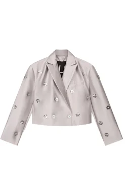 Dames blazer zilver
