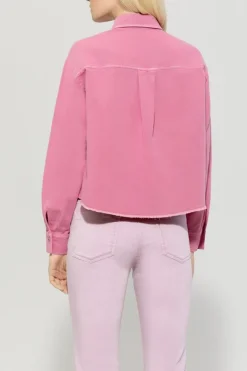 Dames blouse lange mouw diversen