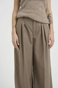 Dames broek bruin