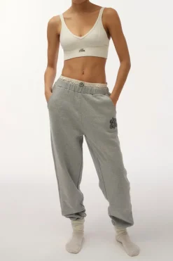 Dames broek grijs