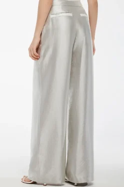 Dames broek grijs