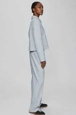 Dames broek grijs