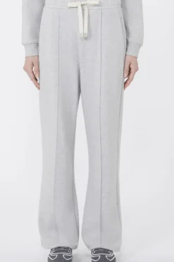 Dames broek grijs