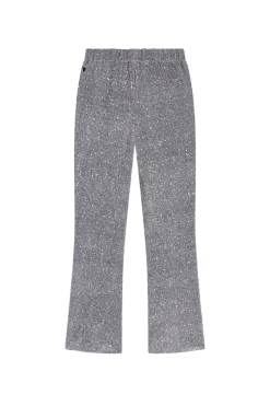 Dames broek zilver