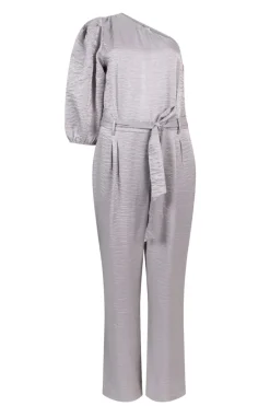 Dames jumpsuit/tuinbroek zilver