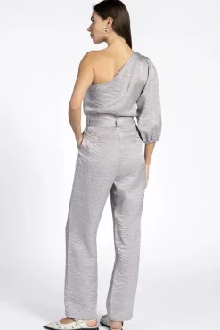 Dames jumpsuit/tuinbroek zilver