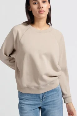 Dames sweater grijs