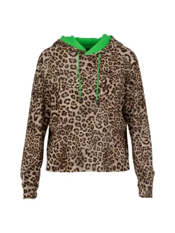 Dames sweater grijs