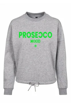 Dames sweater grijs