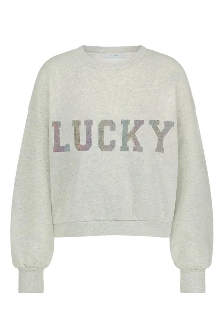 Dames sweater grijs