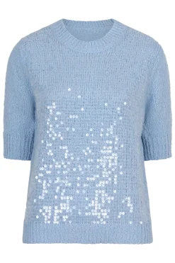 Dames trui blauw