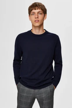 Heren trui blauw