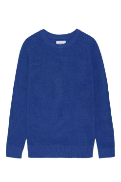 Heren trui blauw