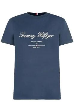 Heren t-shirt kortemouw blauw