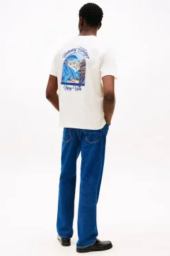 Heren t-shirt kortemouw bruin
