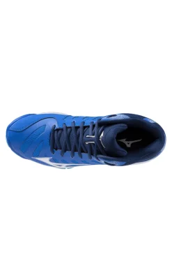 Indoorschoen heren blauw