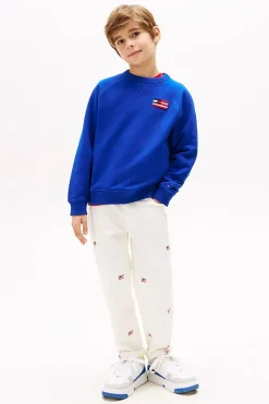 Jongens sweater blauw