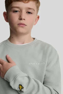Jongens sweater grijs