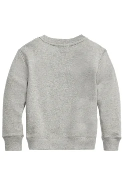 Jongens sweater grijs