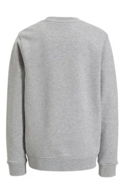 Jongens sweater grijs