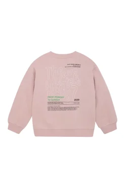 Jongens sweater rose