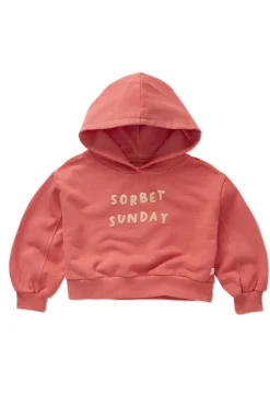 Meisjes sweater rose