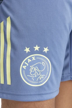 Voetbal heren short replica blauw