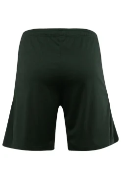 Voetbal heren short replica groen
