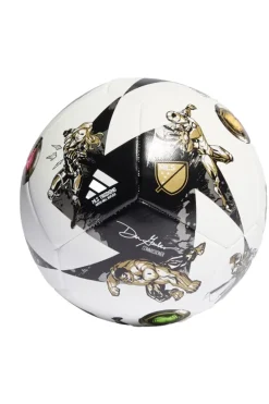 Voetbal zwart